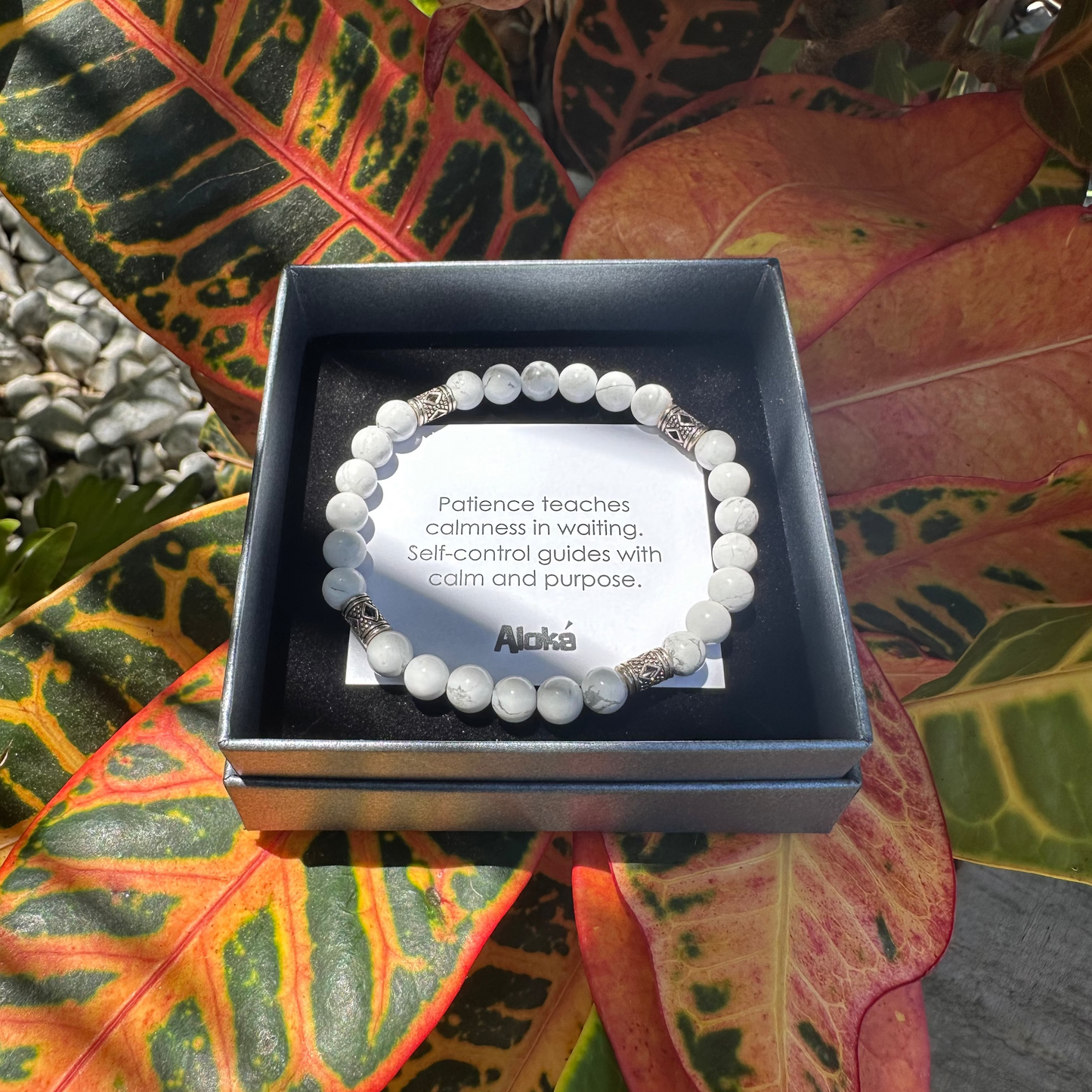 Howlite - Patience and Self-control