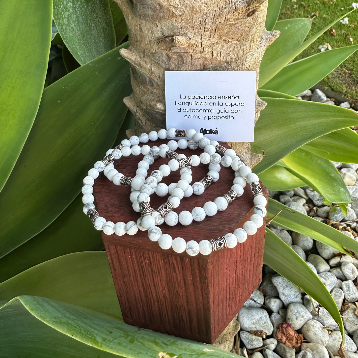 Howlite - Patience and Self-control
